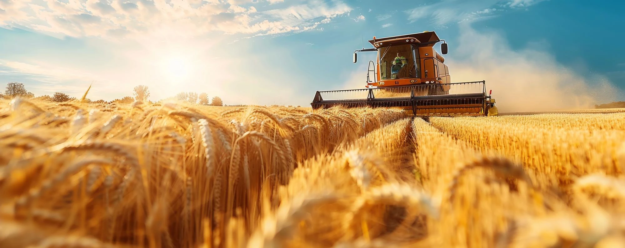 Yüksek hassasiyet, düşük kayıp ve maksimum verim için teknolojimizi sürekli geliştiriyoruz.